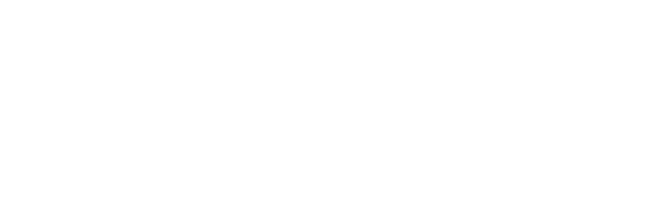 Payload Cargo LLC